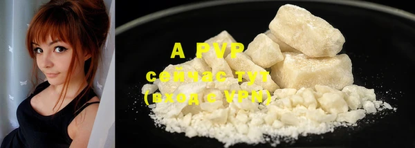 PSILOCYBIN Аркадак