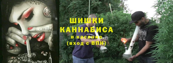 ешки Арсеньев