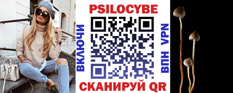 Купить где  Ефремов  Псилоцибиновые грибы ЛСД 